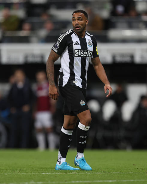 更是彰显了 更是彰显了